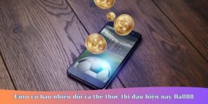 euro có bao nhiêu đội